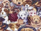 dogs drawing faces multiple all cute 800x600