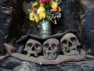 aversive skulls in row of three p1010426 b