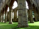 buildings abbey ruins p1020284