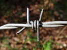 misc barbed wire p5190218