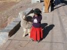 people child and small alpaca p1000904 b