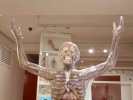 people skeletal man p1030476 b