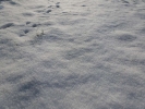 snow and ice snow on ground closeup p1030197 b