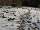 snow and ice snow path into woodland p1030171 b