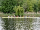 sports misc rowing 2
