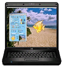 EMDR software running on a netbook