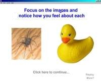 Spider desensitisation