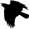 crow outline