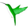 hummingbird green