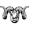 ram sheep