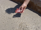 blood in test tubes being placed on street large