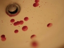 blood splattered in sink large 800x600