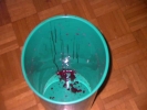 blood spots in bucket out of focus med 800x600