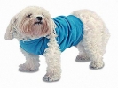 dog  photo tee shirt wearing silly white scottie 800x600