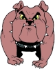dog cartoon bulldog angry