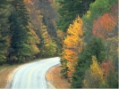 road country autumn bend 1024x768