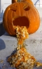 pumpkin vomiting
