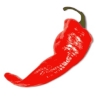 red chili pepper
