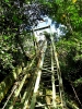 ladder leading upwards