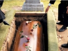 funeral casket into ground roses med 1024x768