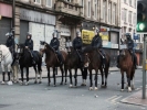 police horses standing 1024x768