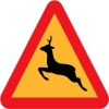 warning deer roadsign