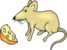 rat brown cartoon eating cheese side view 1024x768