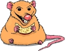 rat fat cartoon eating 1024x768