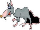 rat gray comedy cartoon side view 1024x768