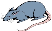 rat gray side on cartoon