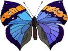 butterfly 3 1024x768