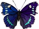 butterfly 4 1024x768