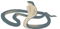 snake cartoon gray cobra