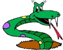 snake cartoon green out of hole