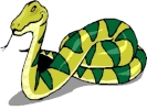 snake green yellow tongue out 800x600