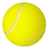 tennis ball white bg small