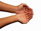 womans hands palms upwards med 1024x768