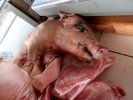 aversive pig carcass on butchers counter at market p1010931 b