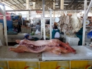 aversive pig carcass on butchers counter p1020018 b