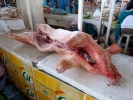 aversive pig carcass on butchers counter p1020019 b