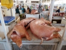 aversive pig carcass on butchers counter p1020033 b