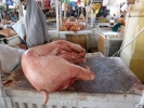 aversive pig carcass on butchers counter p1020035 b
