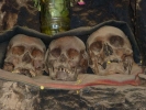 aversive skulls in a row p1070148 s