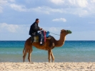 beaches camel on beach pa180124