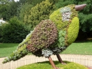 birds bird topiary closeup p9040175
