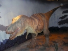 dinosaurs t rex 2
