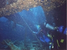diving diving img264