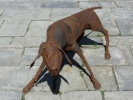 dogs dog statue p1040445 b