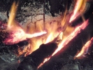 fire fire closeup 3