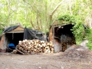 forest country wood store